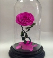 Розовая роза в стеклянной колбе