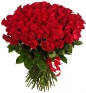 Розы красные Фридом 60 см под ленту
