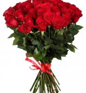 Роза красная Фридом 70 см