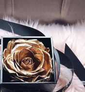 Золотая стабилизированная роза в коробке