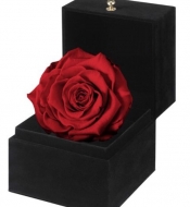 Композиция из стабилизированной красной розы  в подарочной коробке