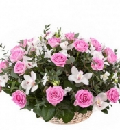 Композиция из розовых роз и белой орхидеи в корзине