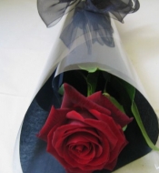 Моно роза в упаковке под ленту